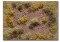 Martin Welberg Scenic Studios WB-M055 - Forest Floor - Fall - Type E - 30cm X 21cm
