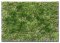 Martin Welberg Scenic Studios WB-P242 - Layered Tufts - Summer - 2mm-4mm - 1 Sheet