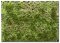 Martin Welberg Scenic Studios WB-P243 - Layered Tufts - Late Summer - 2mm-4mm - 1 Sheet