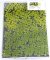 Martin Welberg Scenic Studios MB-PW201 - Tufts - Spring w/ Weeds - 2mm