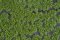 Martin Welberg Scenic Studios MB-PW202 - Tufts - Summer w/ Weeds - 2mm