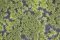 Martin Welberg Scenic Studios MB-PW203 - Tufts - Late Summer w/ Weeds - 2mm