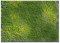 Martin Welberg Scenic Studios WB-PW241 - Layered Tufts - Spring w/ Weeds - 2mm-4mm - 1 Sheet