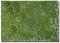 Martin Welberg Scenic Studios WB-PW242 - Layered Tufts - Summer w/ Weeds - 2mm-4mm