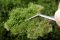Martin Welberg Scenic Studios WB-PW262 - Layered Tufts - Summer w/ Weeds- 2mm-4mm - 1 Sheet