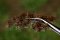 Martin Welberg Scenic Studios MB-PW406 - Tufts - Winter w/ Weeds - 4.5 mm