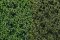 Martin Welberg Scenic Studios MB-PW602 - Tufts - Summer w/ Weeds - 6mm - Multi-Pak