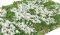 Martin Welberg Scenic Studios WB-PWH262 - Layered Tufts - Flowers - White - 6mm