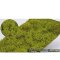 Martin Welberg Scenic Studios WB-SFLG - Shrubs type F light green