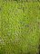 Martin Welberg Scenic Studios MB-P221 - Layered Tufts - Spring - 2mm