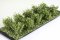 Martin Welberg Scenic Studios WB-SAW - Bushes - White - Type A - 2cm-3cm - 10 pcs