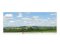 Peco SKP05 - Backscene Photographic Background 95 x 13" 240 x 33.3cm -- Water Meadow