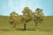 Bachmann 32008 - HO Scale Elm Trees - SceneScapes(TM) -- 3 to 4" 7.6 to 10.2cm pkg(3)