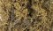 Woodland Scenics 1134 - Fine Leaf Foliage(TM) - 75 Cu. In. 1.2 Cu. m. -- Dead