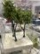Martin Welberg Scenic Studios TLLG2 - Fine Scale Tree - Large - Light Green - 12cm-16cm