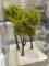 Martin Welberg Scenic Studios TLLG - Fine Scale Tree - Large - Light Green 1 - 12cm-16cm