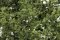 Woodland Scenics 1128 - HO Shrubs & Saplings -- Light Green 60 Cubic Inches