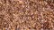 Scenic Express 6622 - Leaf Flakes - Shaker 16oz - Leaf Litter