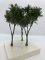 Martin Welberg Scenic Studios TLDG1 - Fine Scale Tree - Large - Dark Green - 12cm-16cm - 3 pcs