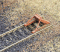 Walthers Cornerstone 3511 - HO Scale Track Bumpers -- Kit pkg(12)