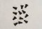 Atlas 22003 - N Scale ruck Kingpins -- Plastic pkg(12)