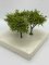 Martin Welberg Scenic Studios TSLG1 - Fine Scale Tree - Small - Light Green 1 - 6cm-8cm - 3 pcs