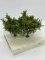 Martin Welberg Scenic Studios TSSG - Fine Scale Tree - Small - Spring Green - 6cm-8cm - 3 pcs