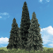 Woodland Scenics 3568 - Forever Green - Ready Made Trees - 4-6in (4 Pack)